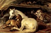 Sir Edwin Landseer The Arab Tent oil painting reproduction